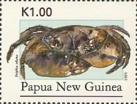 Smooth Redeye Crab (Eriphia sebana)