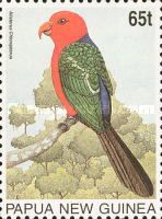 Papuan King-Parrot (Alisterus chloropterus)