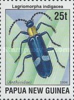 Pselaphid Beetle (Lagriomorpha indigacea)