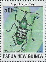 Ground Beetle (Eupholus geoffroyi)