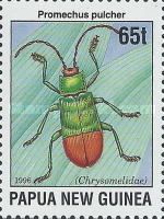 Leaf Beetle (Promechus pulcher)