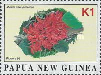 Mucuna novo-guineensis