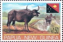Ox and National flag