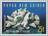Stony Coral (Pocillopora woodjonesi)