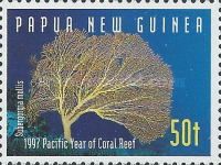 Gorgonian Fan Coral (Subergorgia mollis)