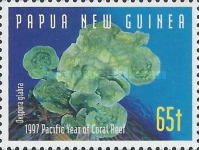 Porous Lettuce Coral (Oxypora glabra)