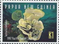 Yellow Scroll Coral (Turbinaria reinformis)