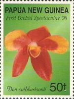 Dendrobium cuthbertsonii