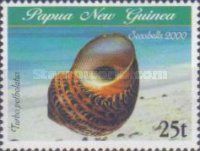 Tapestry Turban (Turbo petholatus)