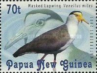 Masked Lapwing (Vanellus miles)