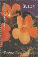 Dendrobium cuthbertsonii
