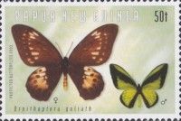 Goliath Birdwing (Ornithoptera goliath)