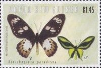 Paradise Birdwing (Ornithoptera paradisea)