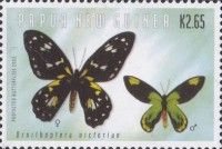 Queen Victoria's Birdwing (Ornithoptera victoriae)