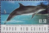 Indo-Pacific Bottlenose Dolphin leaping (Tursiops aduncus)