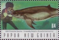 Irrawaddy Dolphin with a diver (Orcaella brevirostris)