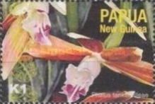Phaius tankervilleae