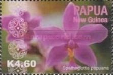 Spathoglottis papuana