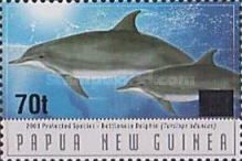Indo-Pacific Bottlenose (Tursiops aduncus) - surcharged