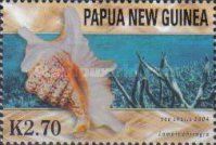 Chiragra Spider Conch (Lambis chiragra)