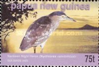Nankeen Night Heron (Nycticorax caledonicus)