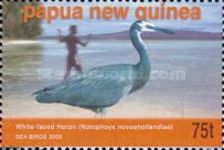 White-faced Heron (Notophoyx novaehollandiae)