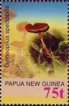 Gymnopilus spectabilis