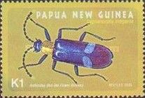 Ant-like Flower Beetle (Lagrimorpha indigacea)