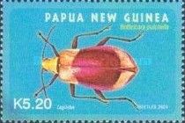 Long-jointed Beetle (Bothricara pulchella)