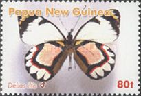 Jezebel Butterfly (Delias iltis)