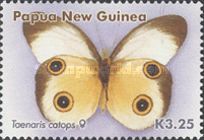 Silky Owl (Taenaris catops)