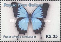 Mountain Swallowtail (Papilio ulysses ssp. autolycus)