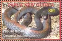 Papuan Taipan (Oxyuranus scutellatus canni)