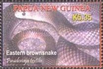 Eastern Brown Snake (Pseudonaja textilis)