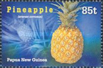 Pineapple (Ananas comosus)