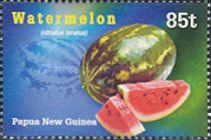 Watermelon (Citrinltus lanatus)
