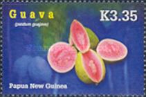 Guava (Psidium guajava)