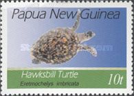 Hawksbill Turtle (Eretmochelys imbricata)
