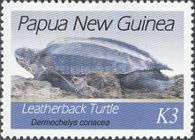 Leatherback Sea Turtle (Dermochelys coriacea)