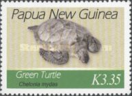 Green Sea Turtle (Chelonia mydas)