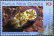 Kuni's Chromodoris (Chromodoris kunei)