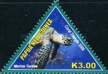 Marine Turtles