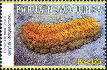 Curryfish (Stichopus hermanni)