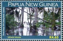 Flooded forest