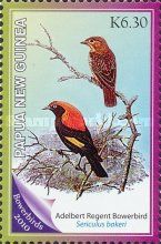 Adelbert Regent Bowerbird (Sericulus bakeri)