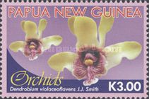 Dendrobium violaceoflavens