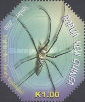 Giant Golden Orb Weaver (Nephila pilipes)