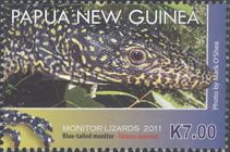 Blue-tailed Monitor (Varanus doreanus)