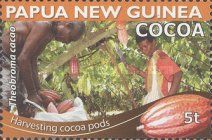 Harvesting Cocoa pods