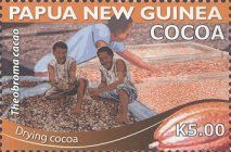 Drying Cocoa